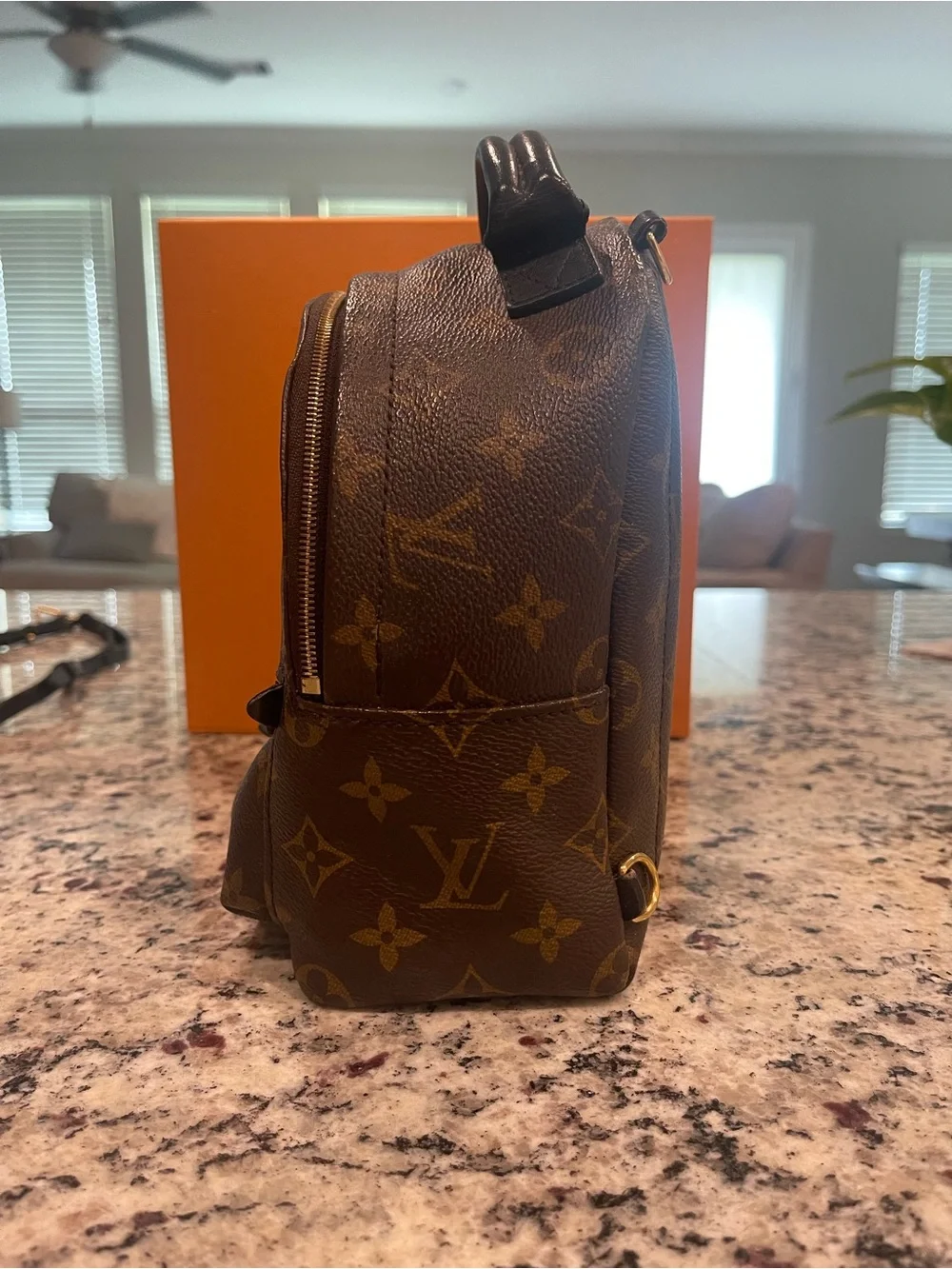 Louis Vuitton Monogram Mini Backpack in Brown and Gold